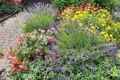 Garten-von-Sabine-Hochrain-2021