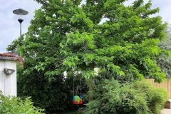 Garten-von-Sabine-Hochrein-2021-3