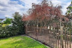 Garten-von-Sabine-Hochrein-2021-5