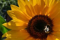 20210820_130035_resized