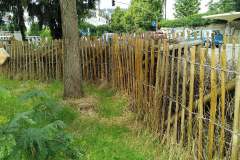 Habitate-Trier-5