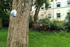 Habitate-Trier-7