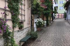 Erlabrunn-2019-37