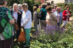 Erlabrunn-2019-41