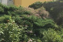 Erlabrunn-3