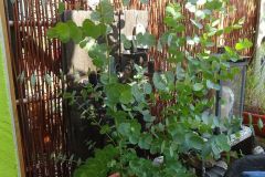 Gartenbilder Familie Beck