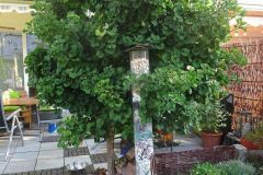 Gartenbilder Familie Beck