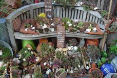 Gartenbilder Familie Beck