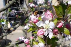 IMG-20210429-WA0003