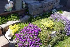 IMG-20210429-WA0004