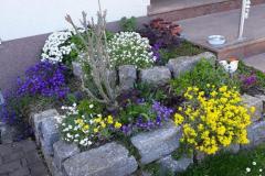 IMG-20210429-WA0005