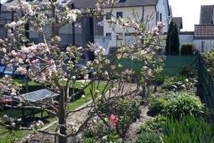 IMG-20210429-WA0006