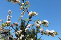 IMG-20210429-WA0007