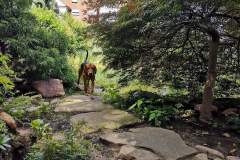 IMG_20200629_154340
