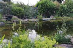 IMG_20200629_155050