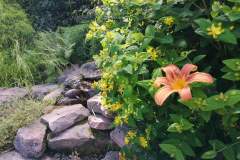 IMG_20200629_155131
