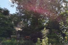 IMG_20200629_155230