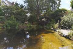 IMG_20200629_155258
