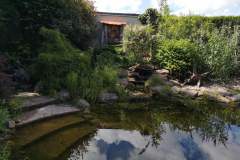 IMG_20200629_155429