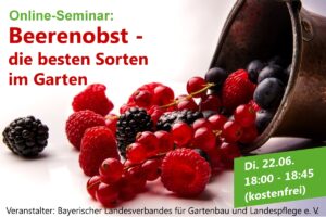 Online-Seminar „Beerenobst – die besten Sorten im Garten“