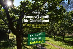 Sommerschnittkurs in Goldbach @ Waldfriedhof Goldbach