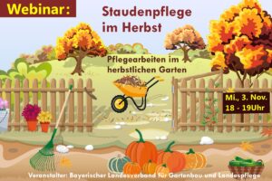 Staudenpflege im Herbst – was zu tun und zu lassen ist (Webinar) @ Webinar / Online