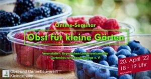 Webinar: Obst für kleine Gärten @ Webinar / Online