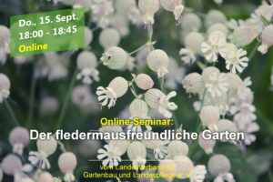 Online-Seminar „Der fledermausfreundliche Garten“ @ Online über GoToWebinar