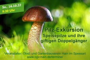 Pilzexkursion - Speisepilze und ihre giftigen Doppelgänger @ Treffpunkt an der Gartenlaube in Hain