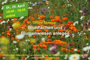 Online-Seminar „Blühflächen und Blumenwiesen anlegen“ @ Online über GoToWebinar