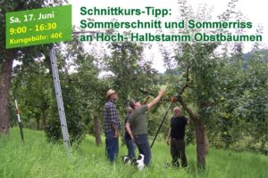 Sommerschnitt und Sommerriss an Hoch- Halbstamm Obstbäumen @ Wissel’s Bioland Streuobstbau, Dieter Wissel,