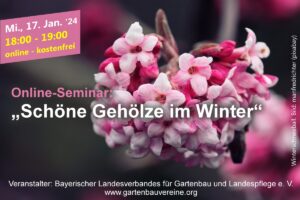 Online-Seminar: „Schöne Gehölze im Winter“ @ Online über GoToWebinar