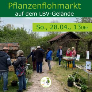 Pflanzenflohmarkt beim LBV @ LBV Gelände
