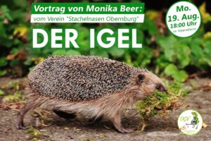 Vortrag „Der Igel" von Monika Beer ("Stachelnasen Obernburg") @ Vereinsheim des OGV