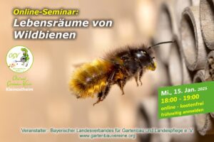 Lebensräume von Wildbienen (Webinar) @ Online